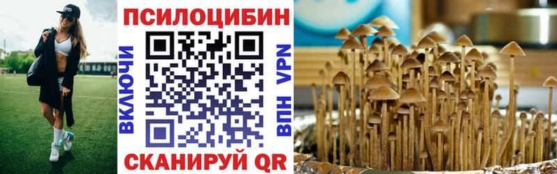 Галлюциногенные грибы Psilocybine cubensis  Спасск-Дальний 